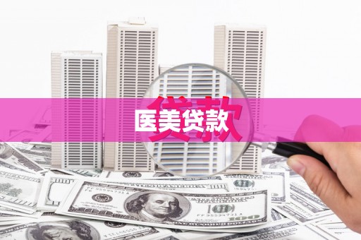 西丰医美贷款