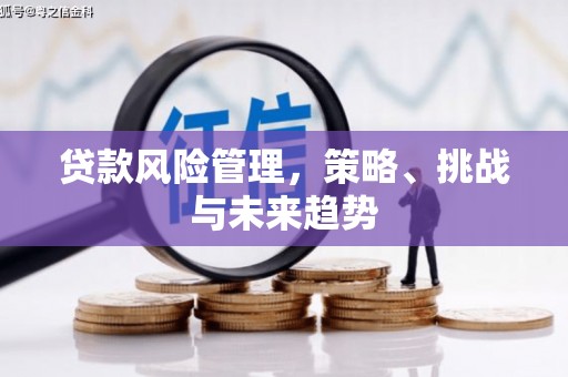 西丰贷款风险管理，策略、挑战与未来趋势