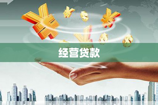 西丰经营贷款