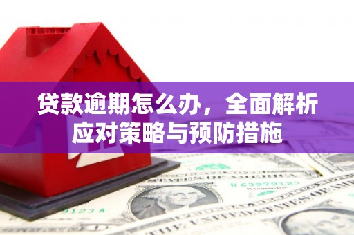 西丰贷款逾期怎么办，全面解析应对策略与预防措施