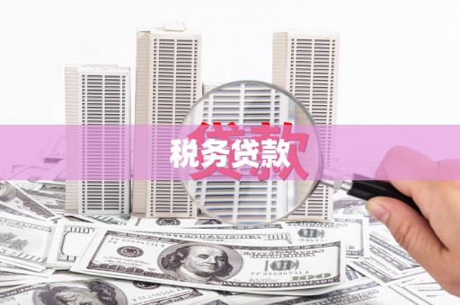 西丰税务贷款