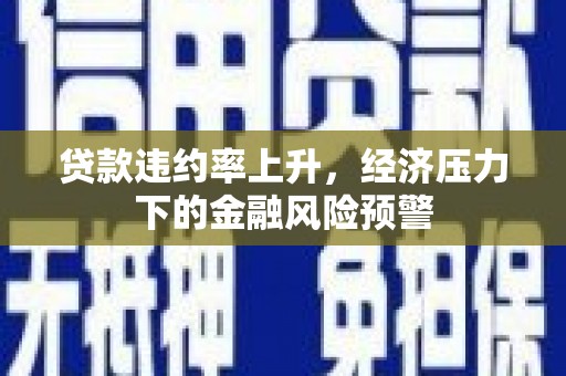 西丰贷款违约率上升，经济压力下的金融风险预警