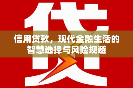 西丰信用贷款，现代金融生活的智慧选择与风险规避