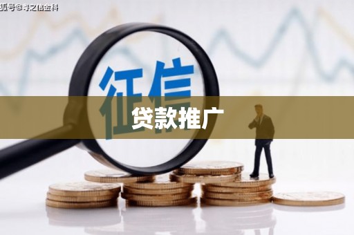 西丰贷款推广
