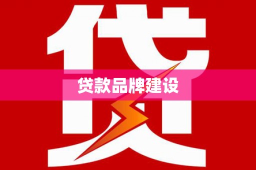 西丰贷款品牌建设