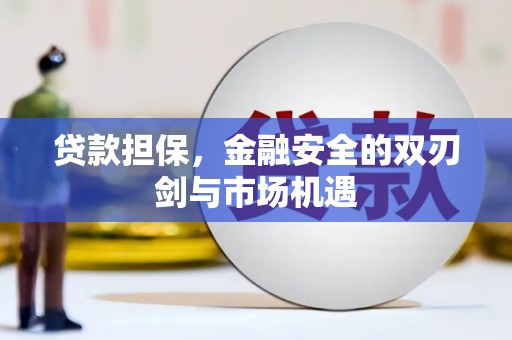 西丰贷款担保，金融安全的双刃剑与市场机遇