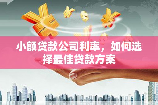 西丰小额贷款公司利率，如何选择最佳贷款方案