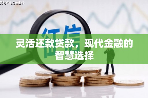西丰灵活还款贷款，现代金融的智慧选择