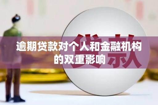 西丰逾期贷款对个人和金融机构的双重影响