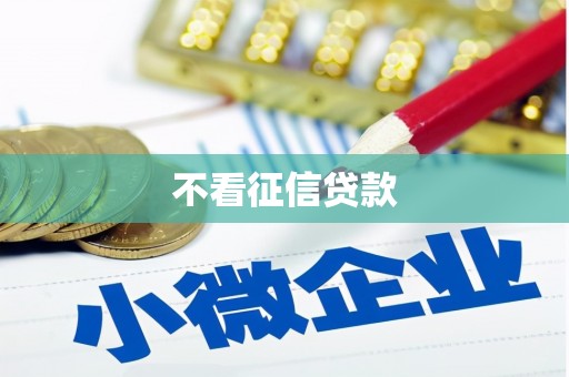 西丰不看征信贷款