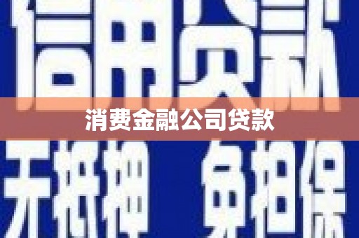 西丰消费金融公司贷款
