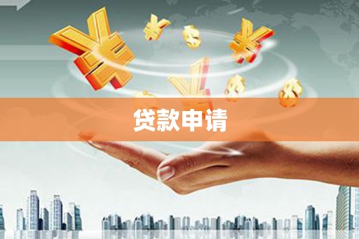 西丰贷款申请