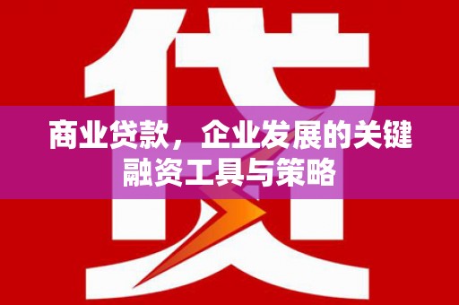 西丰商业贷款，企业发展的关键融资工具与策略