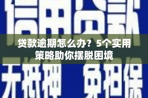 西丰贷款逾期怎么办？5个实用策略助你摆脱困境