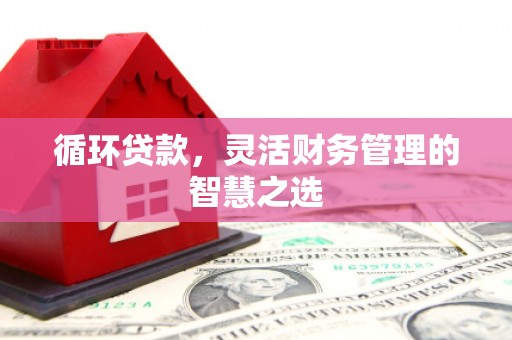 西丰循环贷款，灵活财务管理的智慧之选