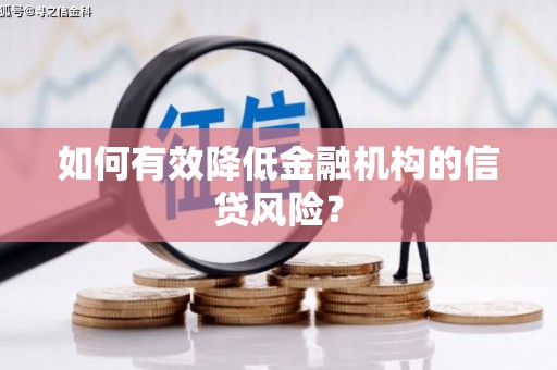 西丰如何有效降低金融机构的信贷风险？