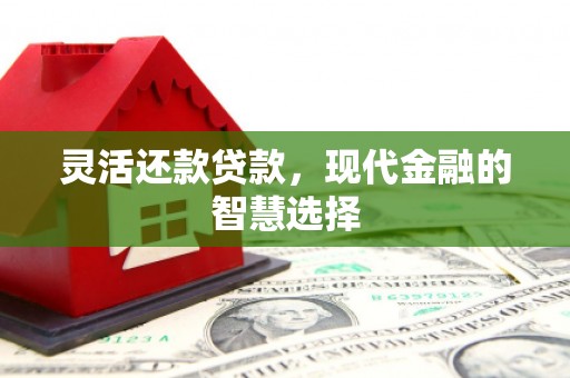 西丰灵活还款贷款，现代金融的智慧选择