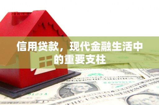 西丰信用贷款，现代金融生活中的重要支柱