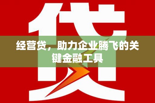 西丰经营贷，助力企业腾飞的关键金融工具