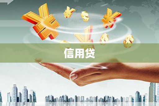 西丰信用贷