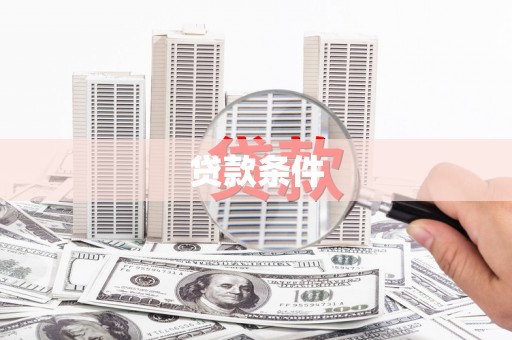 西丰贷款条件