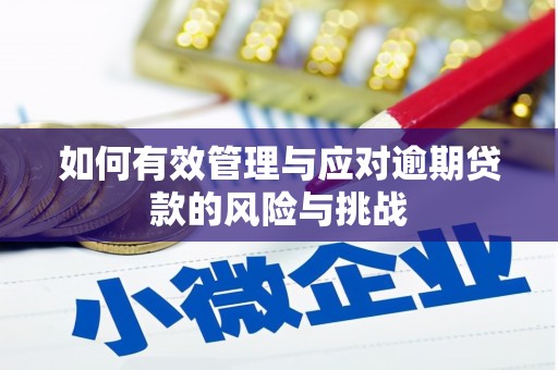 西丰如何有效管理与应对逾期贷款的风险与挑战