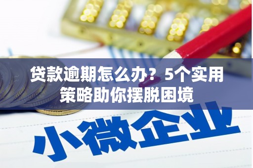 西丰贷款逾期怎么办？5个实用策略助你摆脱困境