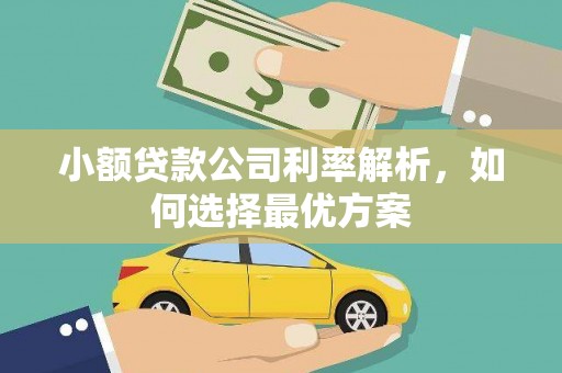西丰小额贷款公司利率解析，如何选择最优方案