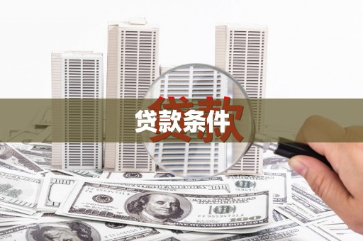 西丰贷款条件