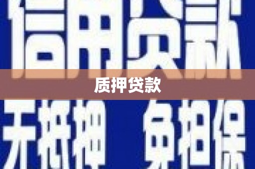 西丰质押贷款