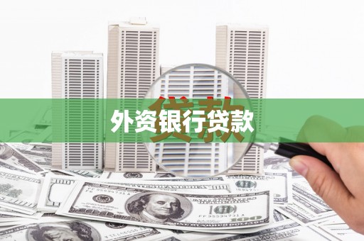 西丰外资银行贷款