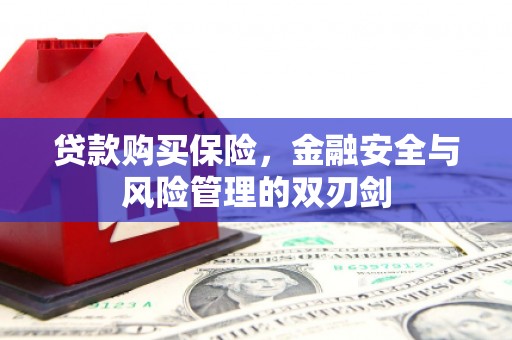 西丰贷款购买保险，金融安全与风险管理的双刃剑
