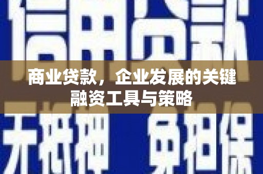 西丰商业贷款，企业发展的关键融资工具与策略