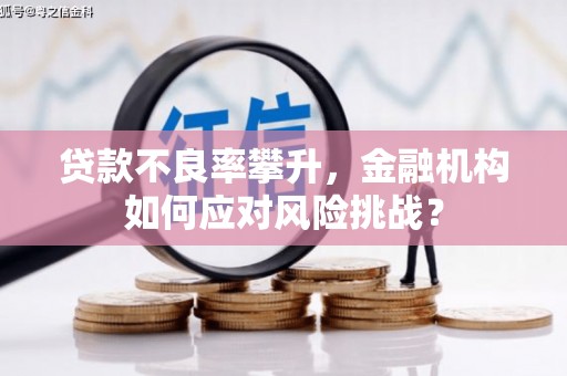 西丰贷款不良率攀升，金融机构如何应对风险挑战？