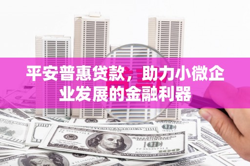 西丰平安普惠贷款，助力小微企业发展的金融利器