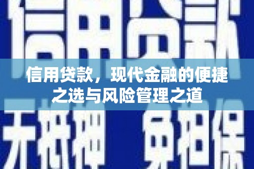 西丰信用贷款，现代金融的便捷之选与风险管理之道