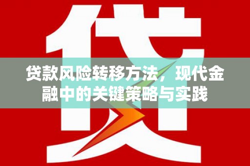 西丰贷款风险转移方法，现代金融中的关键策略与实践