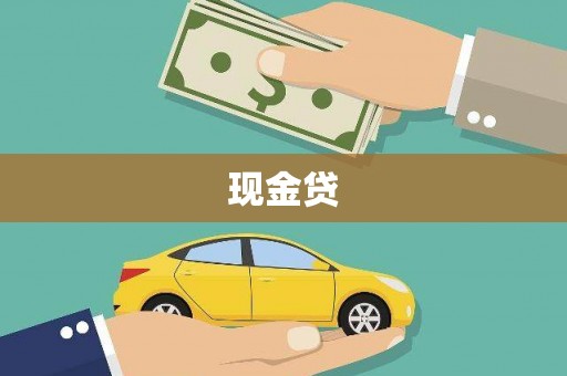 西丰现金贷