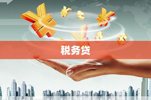 西丰税务贷