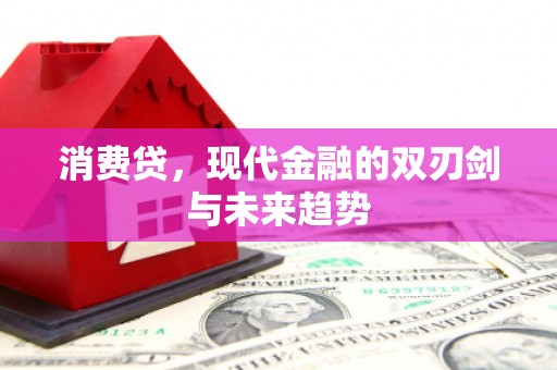 西丰消费贷，现代金融的双刃剑与未来趋势