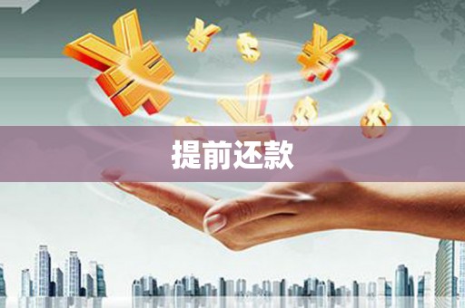 西丰提前还款