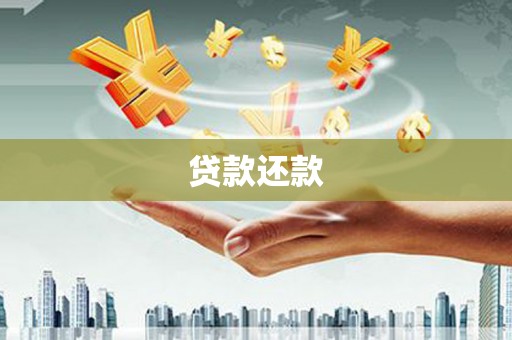 西丰贷款还款