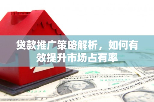 西丰贷款推广策略解析，如何有效提升市场占有率