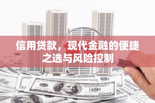西丰信用贷款，现代金融的便捷之选与风险控制