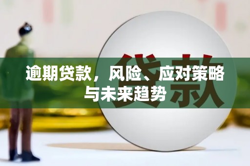 西丰逾期贷款，风险、应对策略与未来趋势
