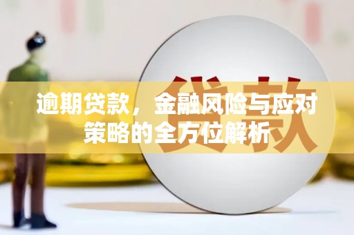 西丰逾期贷款，金融风险与应对策略的全方位解析