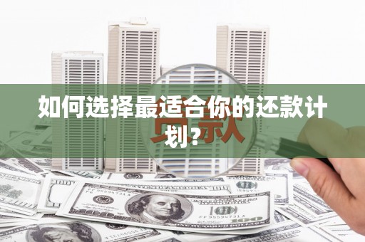 西丰如何选择最适合你的还款计划？
