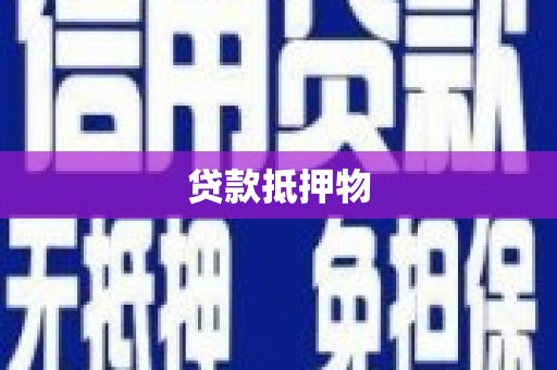 西丰贷款抵押物