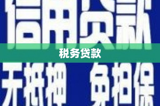 西丰税务贷款