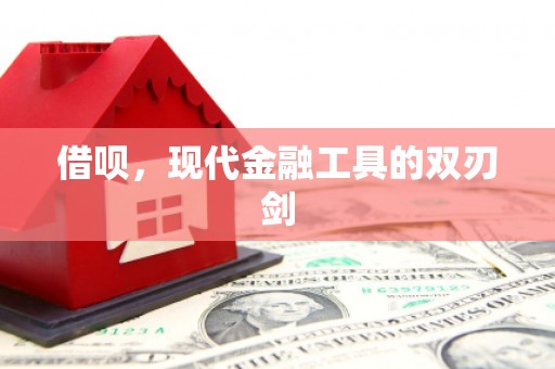 西丰借呗，现代金融工具的双刃剑